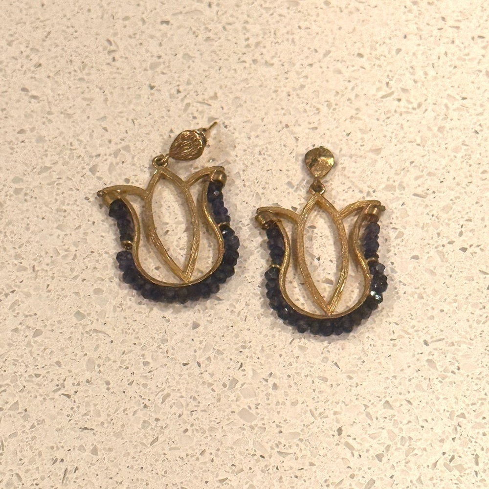 Elegant Gold and Blue Earrings
